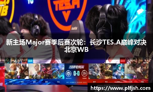 DG视讯